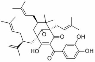 山竹子素，分析标准品,HPLC≥95%