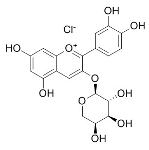 氯化矢车菊素-3-O-阿拉伯糖苷，分析标准品,HPLC≥95%