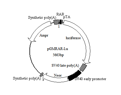 QQ图片20180829123756.png