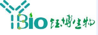 CTAB 十六烷基三甲基溴化铵
