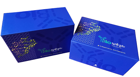 甘油三酯(TG)含量测试盒(可见分光光度法)